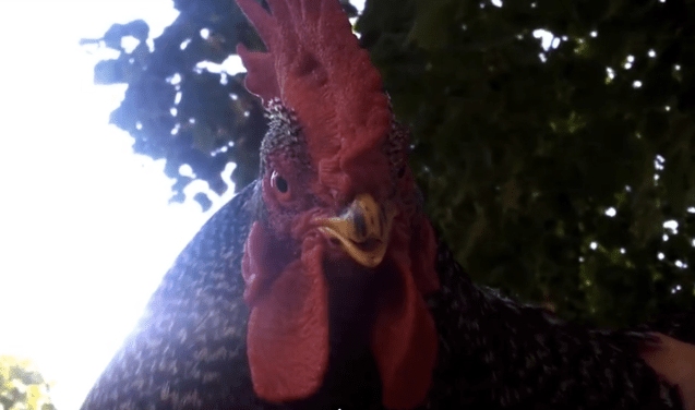 Screen shot 2014-02-03 at 6.14.18 PM