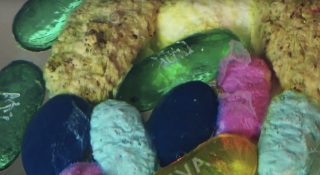 Screen Shot 2016-07-25 at 6.24.23 PM