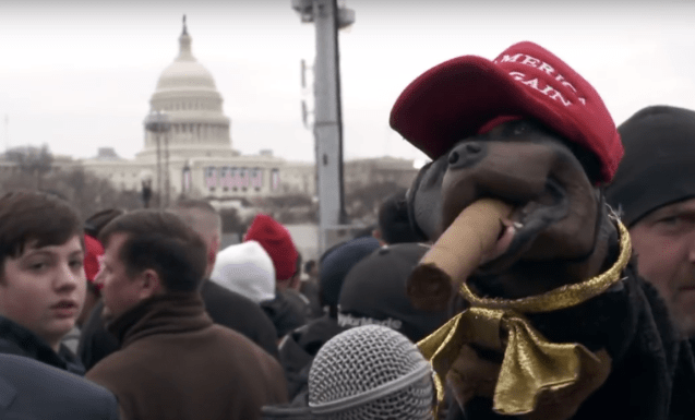 screen-shot-2017-01-25-at-10-40-14-pm