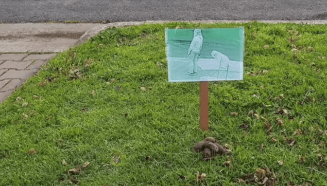 Screen Shot 2018-08-18 at 10.21.11 AM